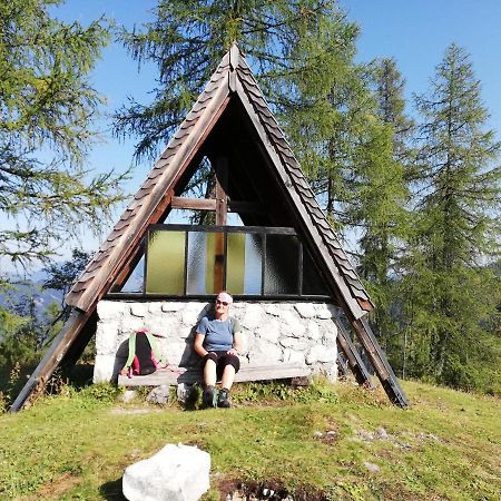 Ferienwohnung Schmaranzer Gosau Exterior photo