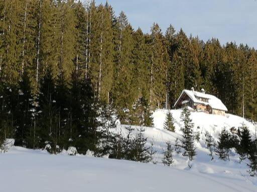 Ferienwohnung Schmaranzer Gosau Exterior photo